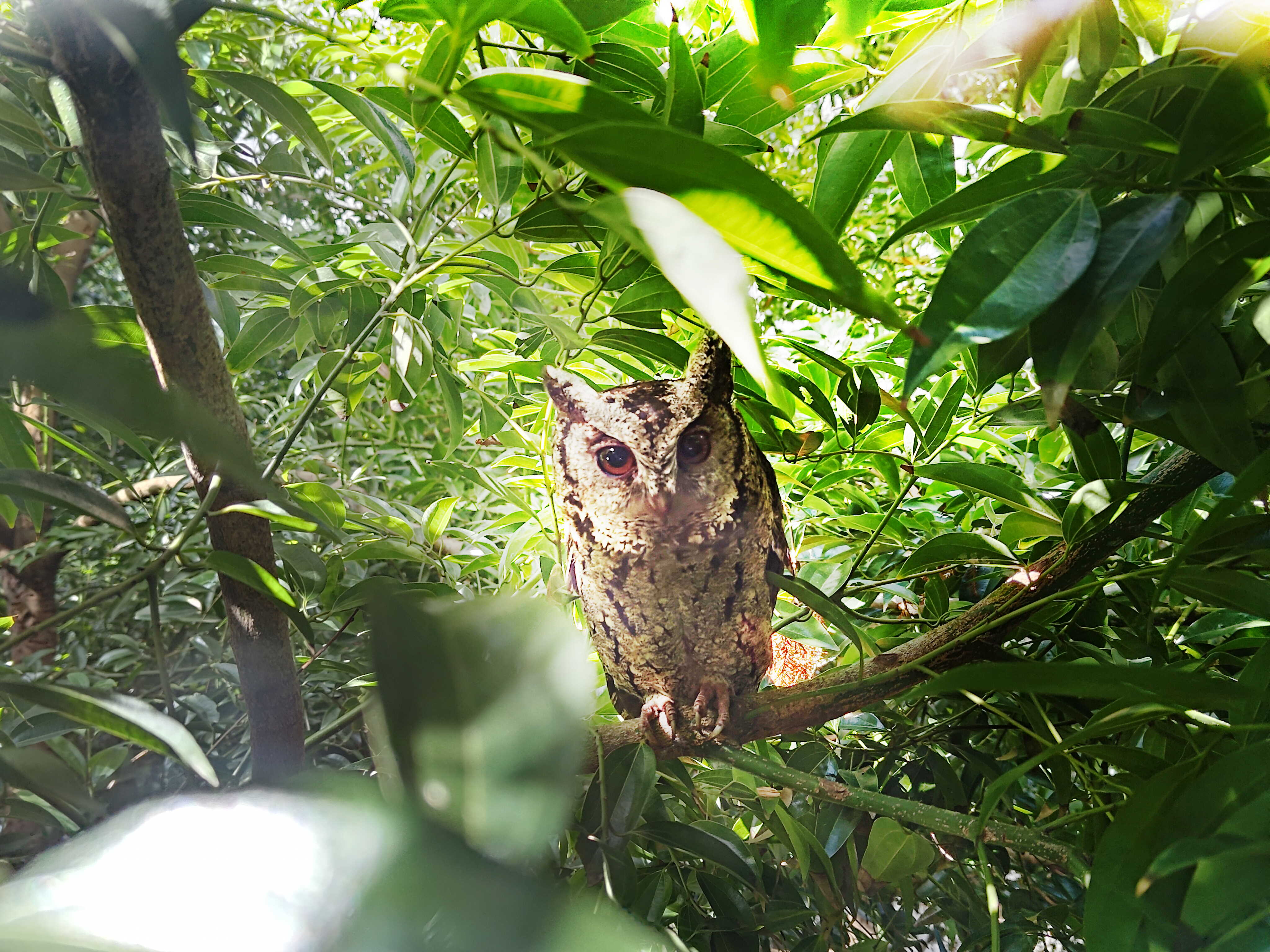 js3333线路检测中心(上海)有限公司致力提倡净零绿生活，16年以来在全球各厂区植树逾百万棵，造就各厂区树木蔚然成林，犹如森林工厂，成为许多生物的栖息地