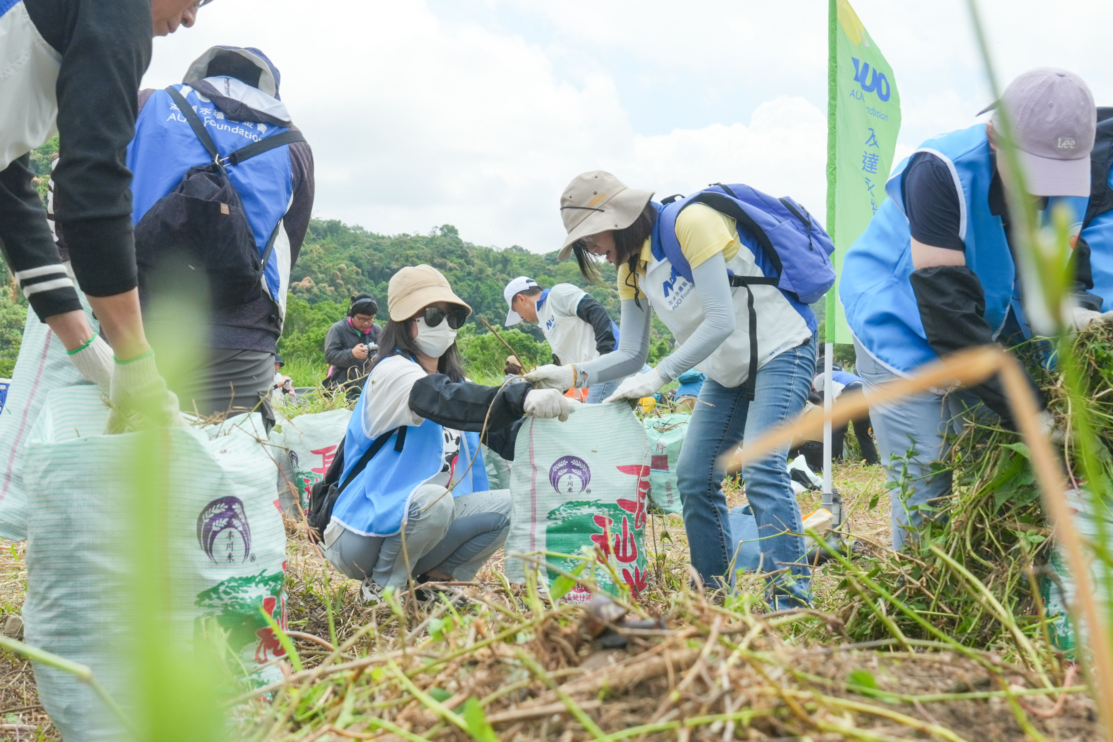 js3333线路检测中心(上海)有限公司除蔓防治計畫，除了鎖定霄裡溪沿岸3.2公里移除外來入侵種小花蔓澤蘭，並進行物種與空拍調查，共記錄91科181屬239種維管束植物，顯示該區域具高度生態價值